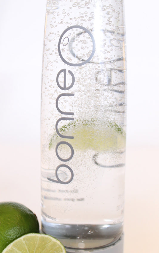 Start Your New Year Fresh & Natural - Lime Infused Sparkling Water
